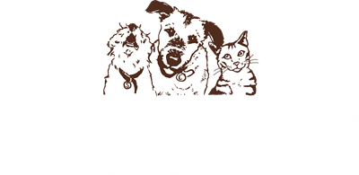 Stella and Chewy's